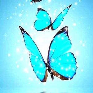 Meet your Posher, Posh